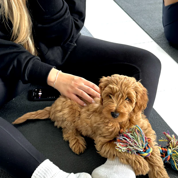 Boston - South Station Studio 2 - Image 4