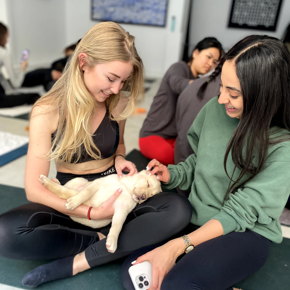 Gift Cards - Image 4