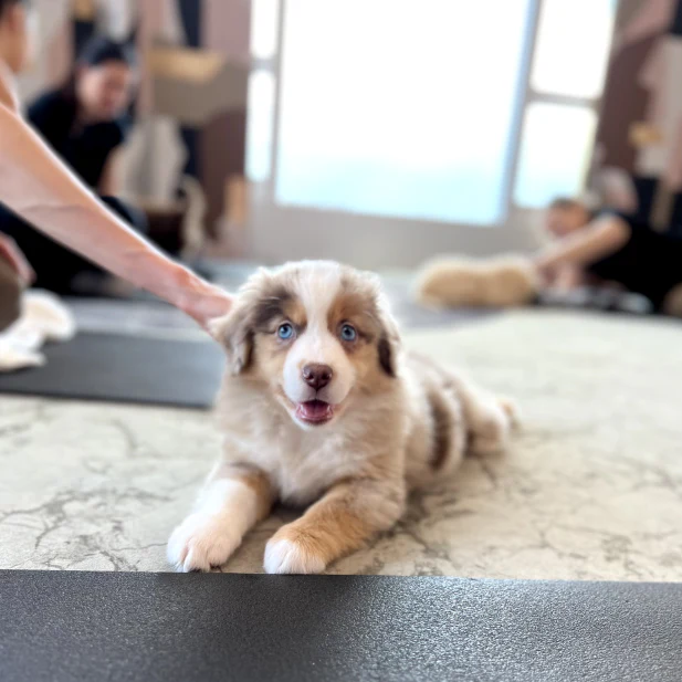 Seattle - SoDo Studio 2 - Image 4